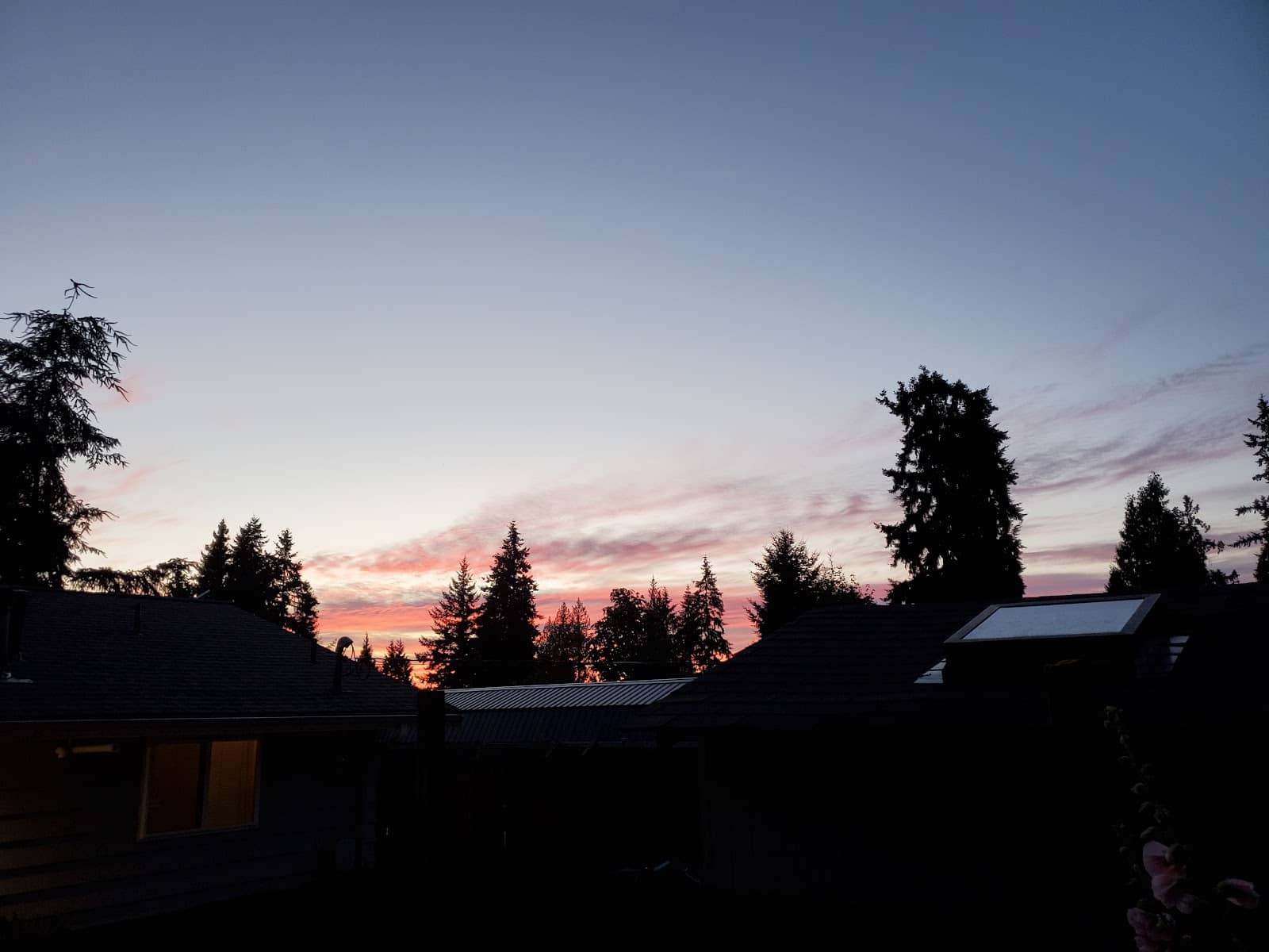 Equestrian Lifestyle