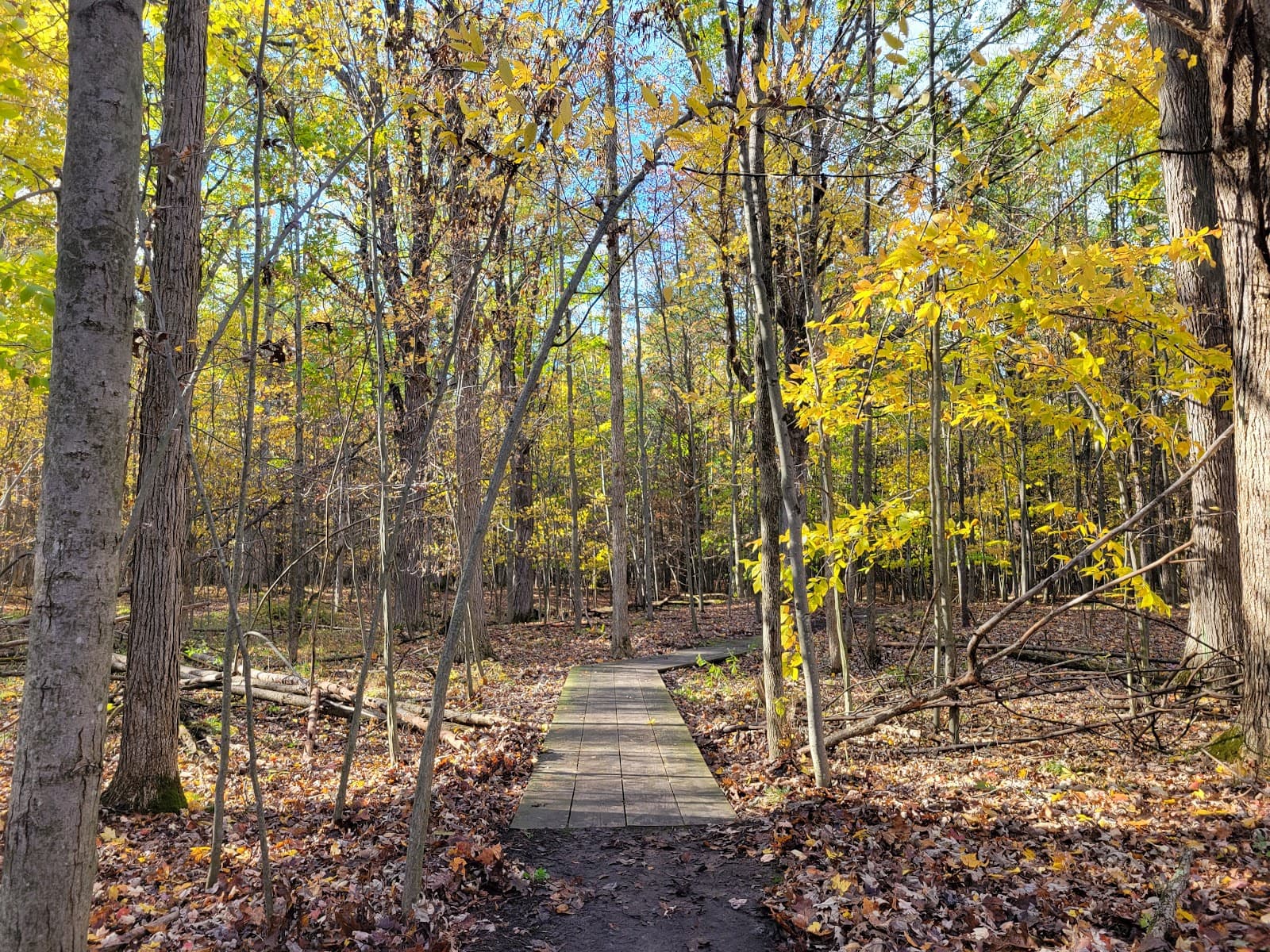 Riverview Natural Area - Image 1