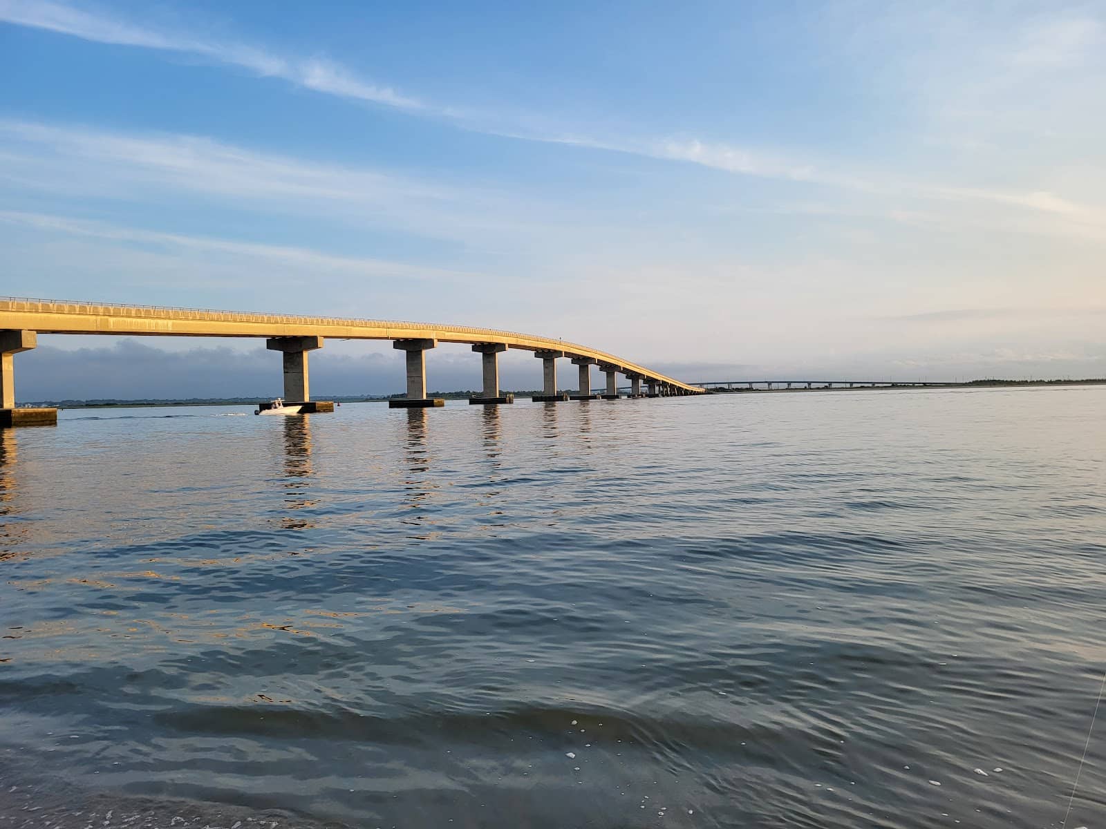 Birdwatching Paradise