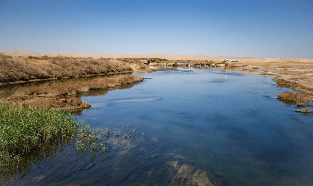 Birdwatching Opportunities