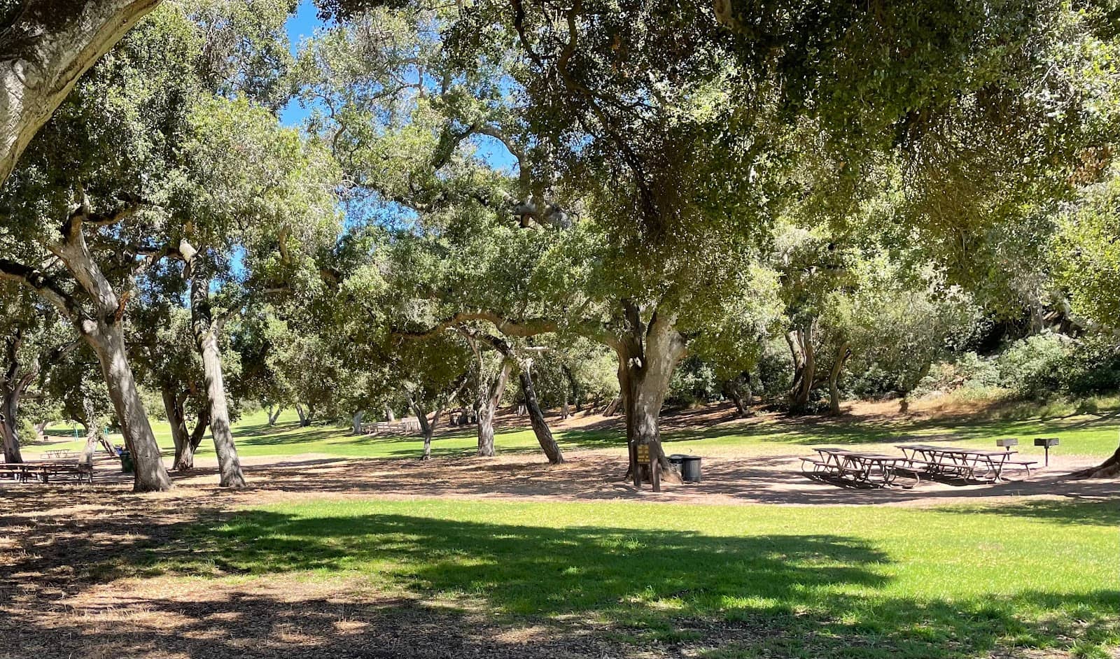 Family Gathering Spot