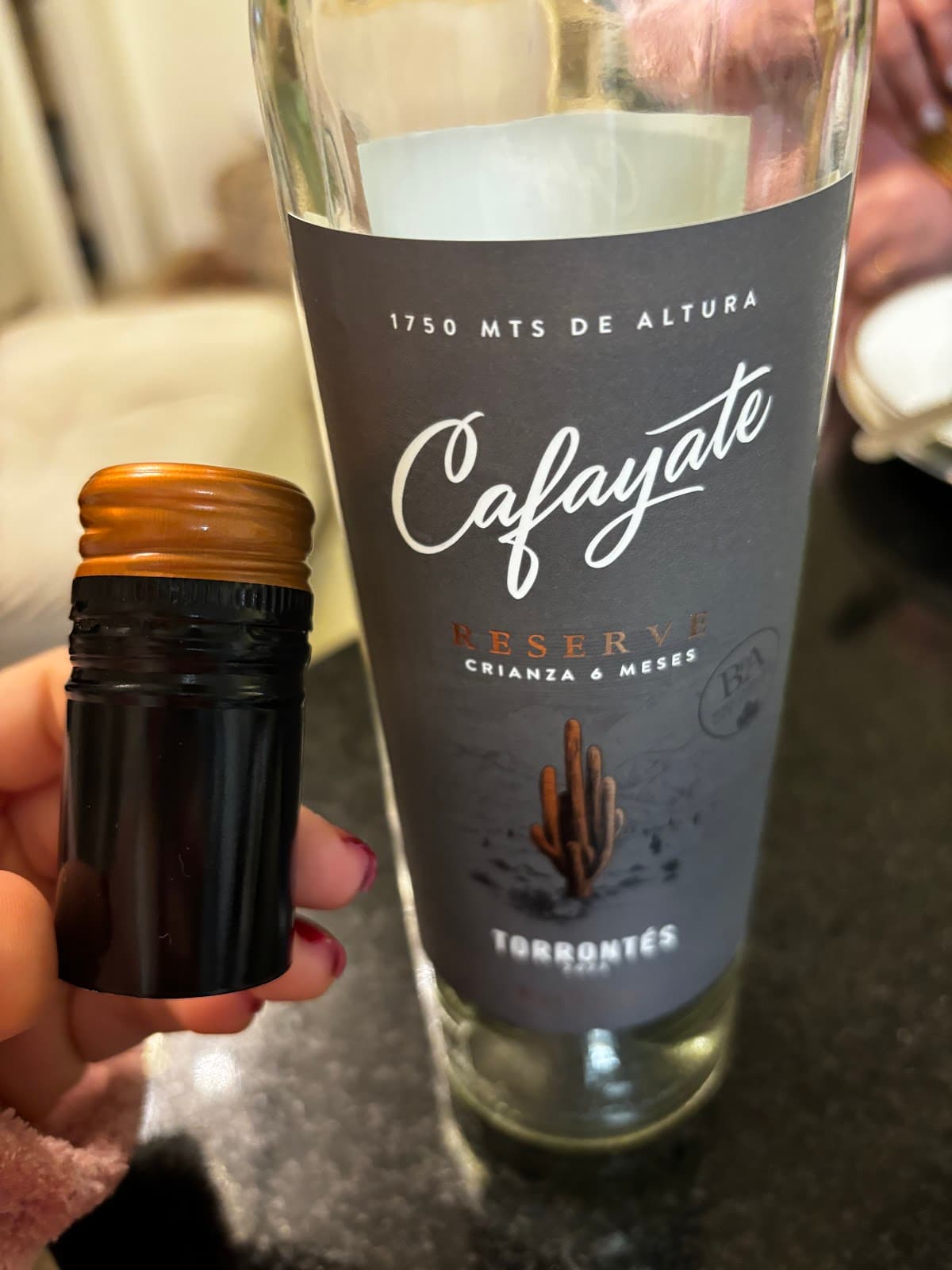 Bodega Etchart - Image 1