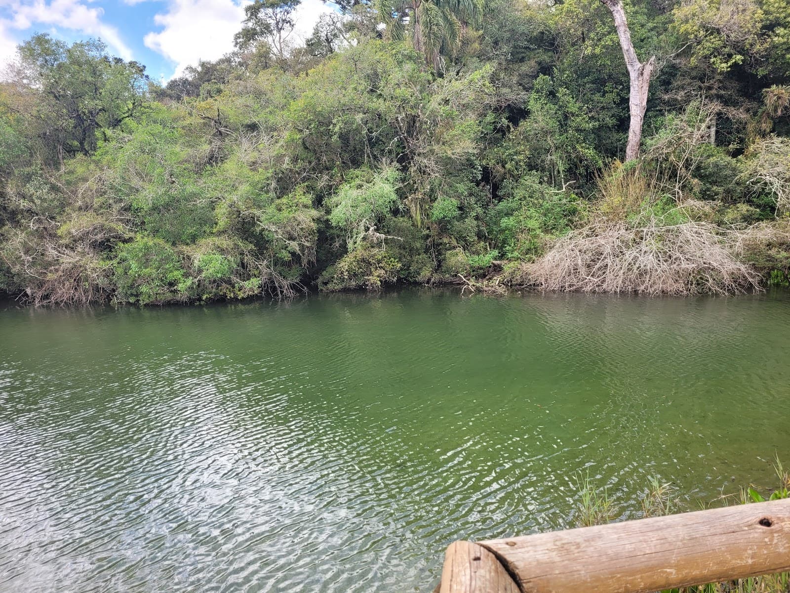 Vila Velha Lagoa Dourada - Image 1