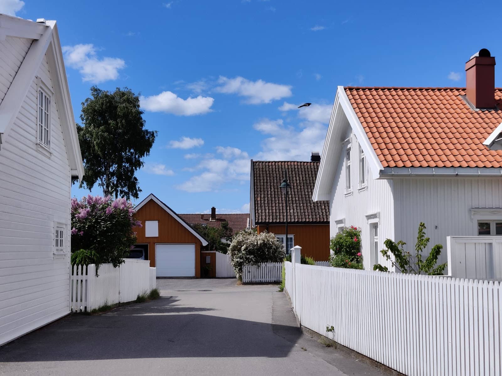 Birdwatching Opportunities