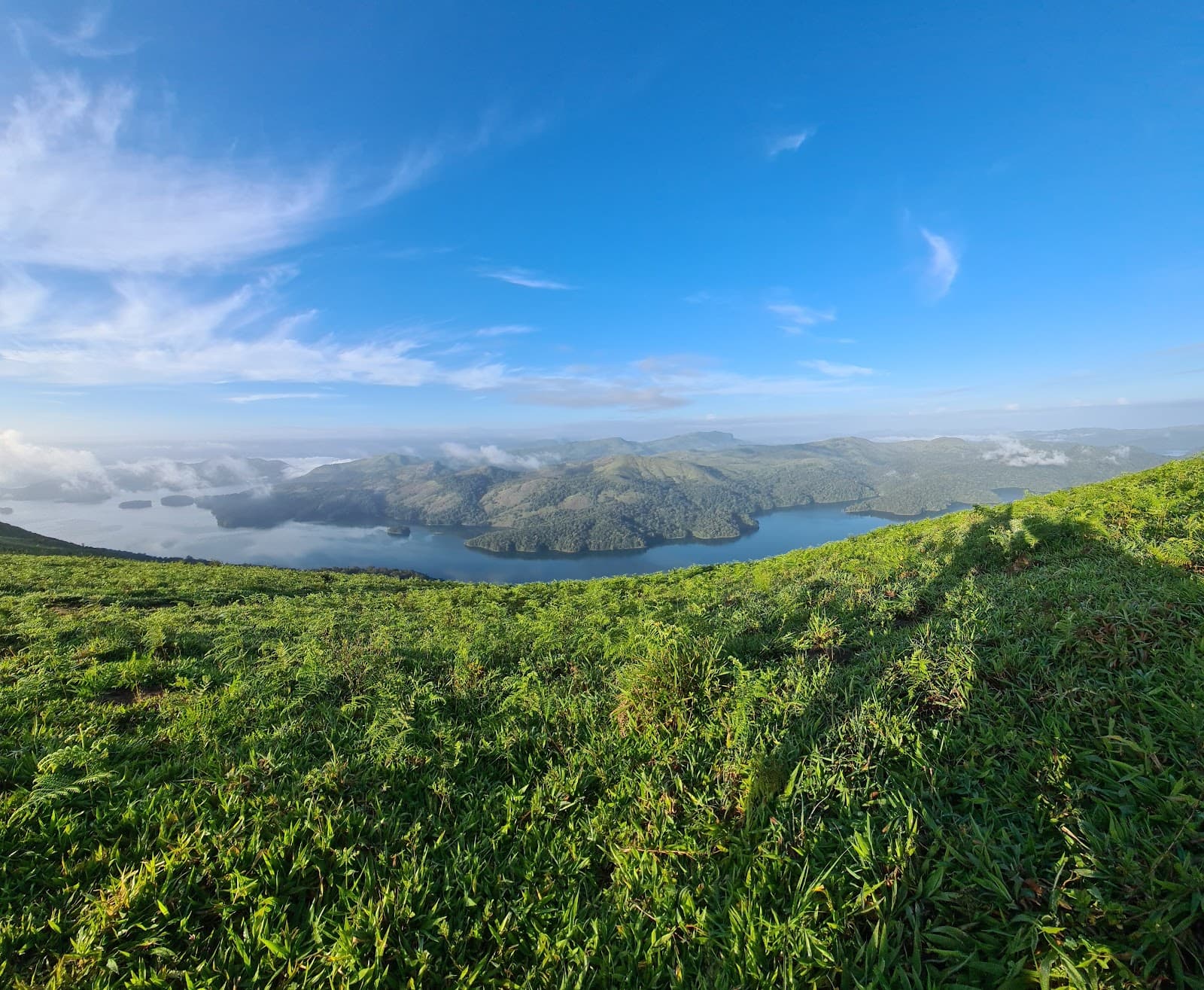 Idukki Wildlife Sanctuary Idukki - Image 1