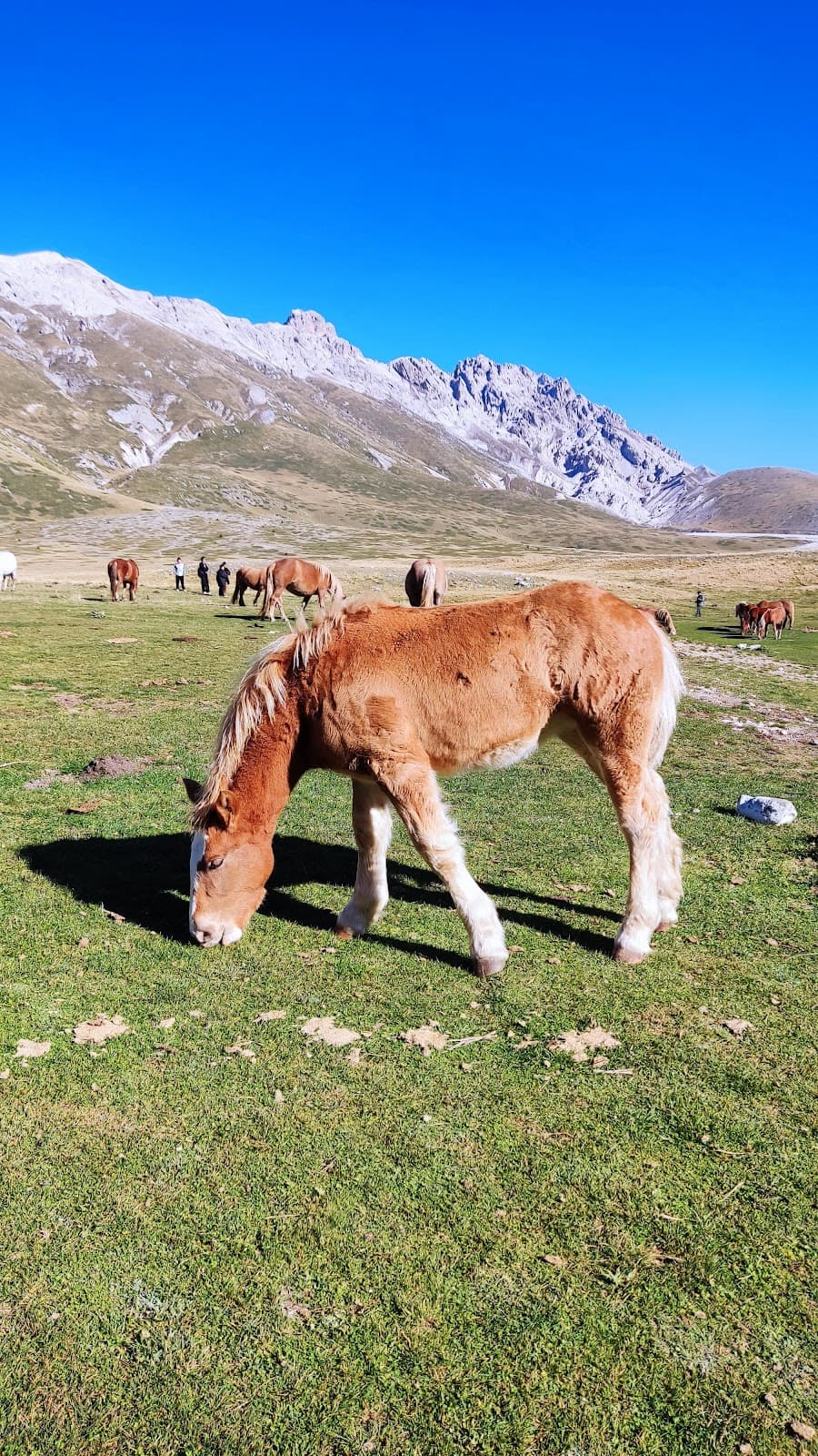 Campo Imperatore - Image 1