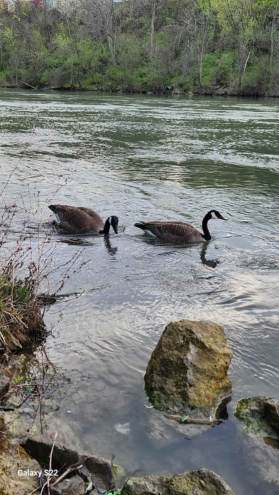 Merritt Trail - Image 1