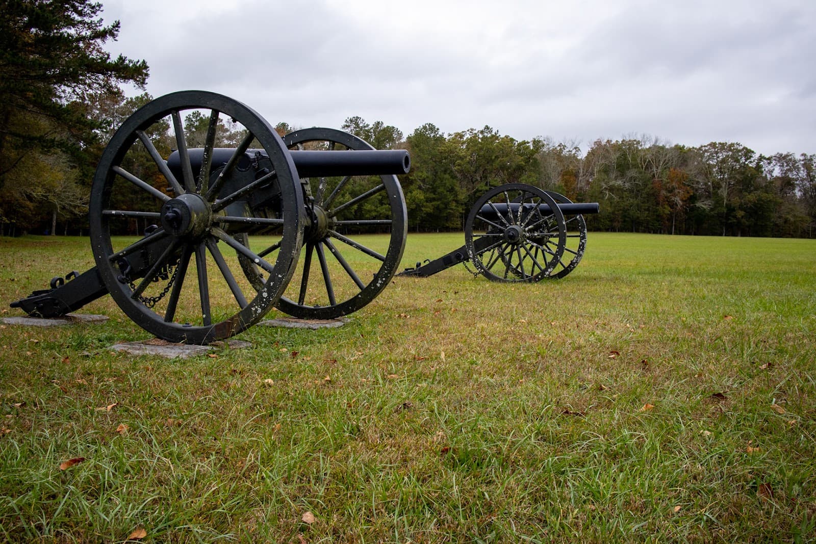 Chickamauga Battlefield - Image 1