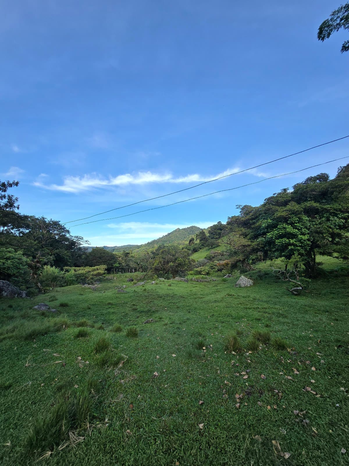 El Pianista Trail - Image 1