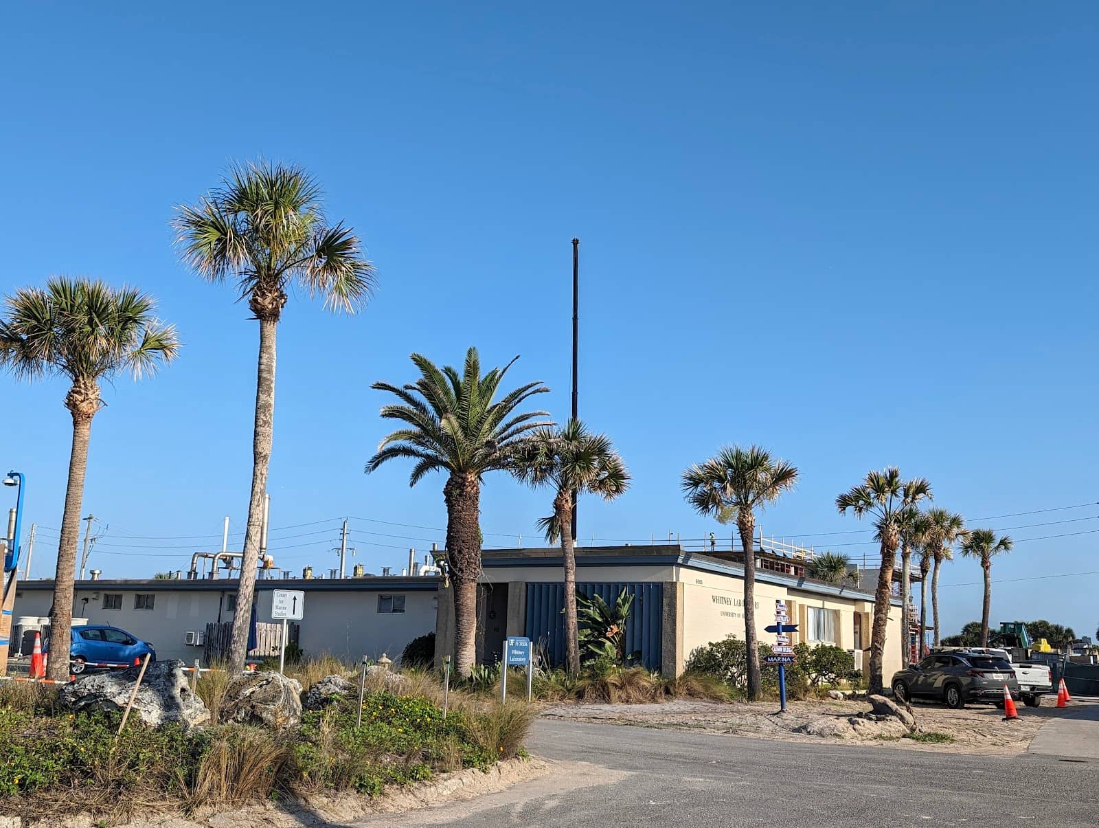 Meet the Rescued Turtles