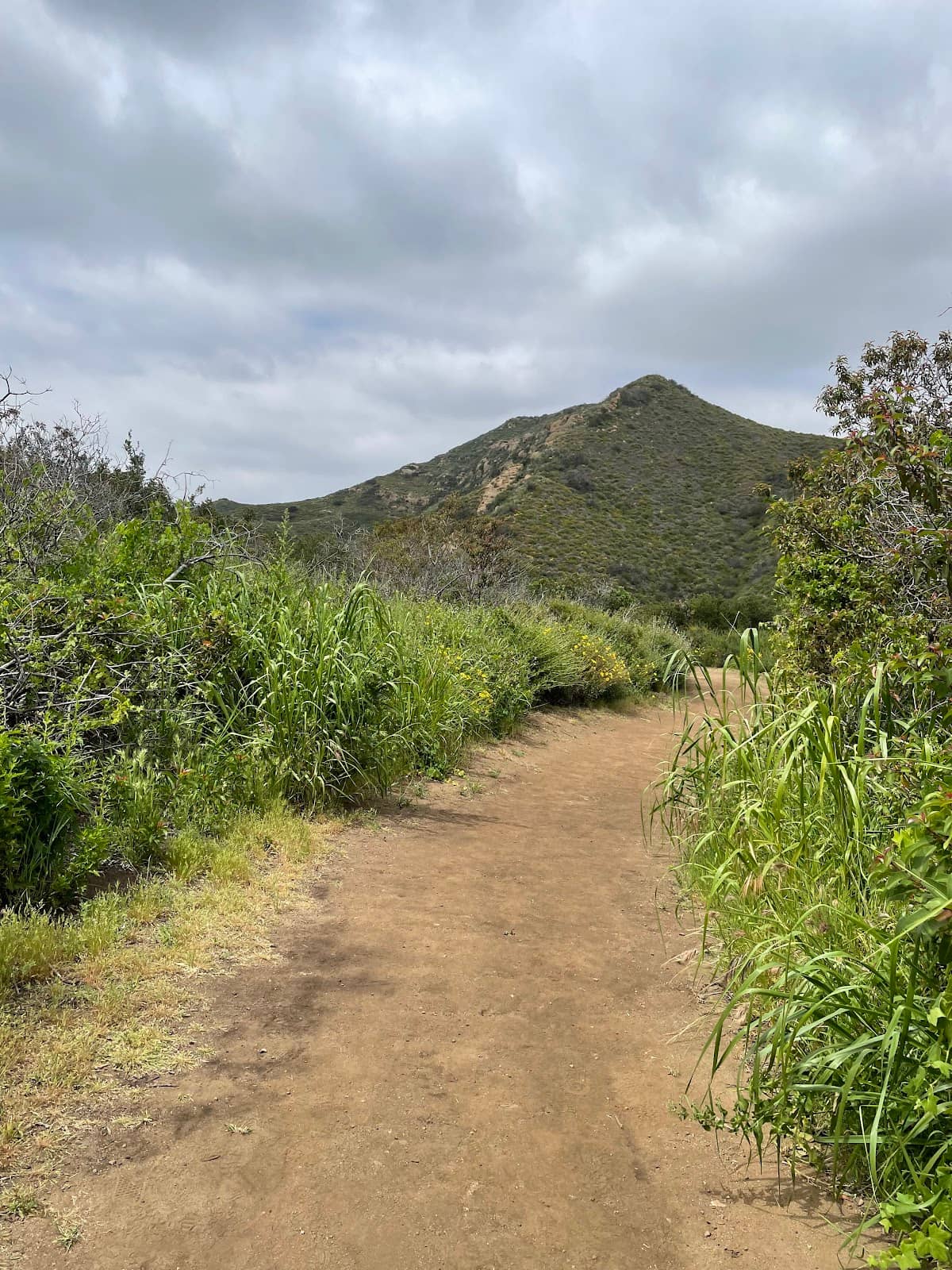 Challenging Incline Hikes