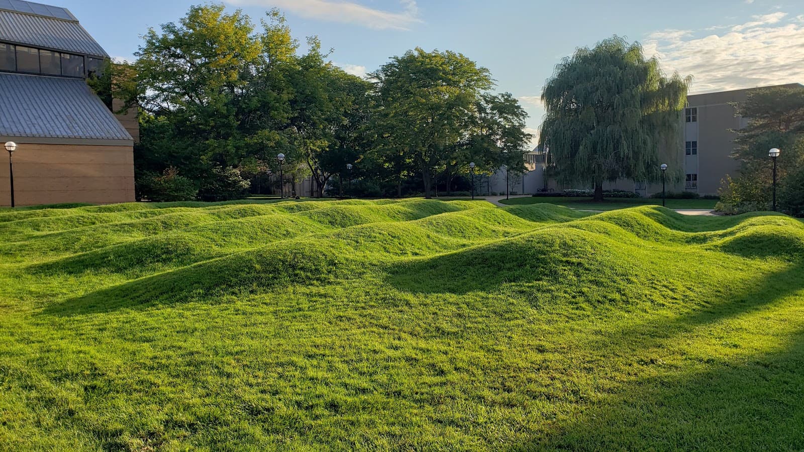 Wave Field Maya Lin - Image 1
