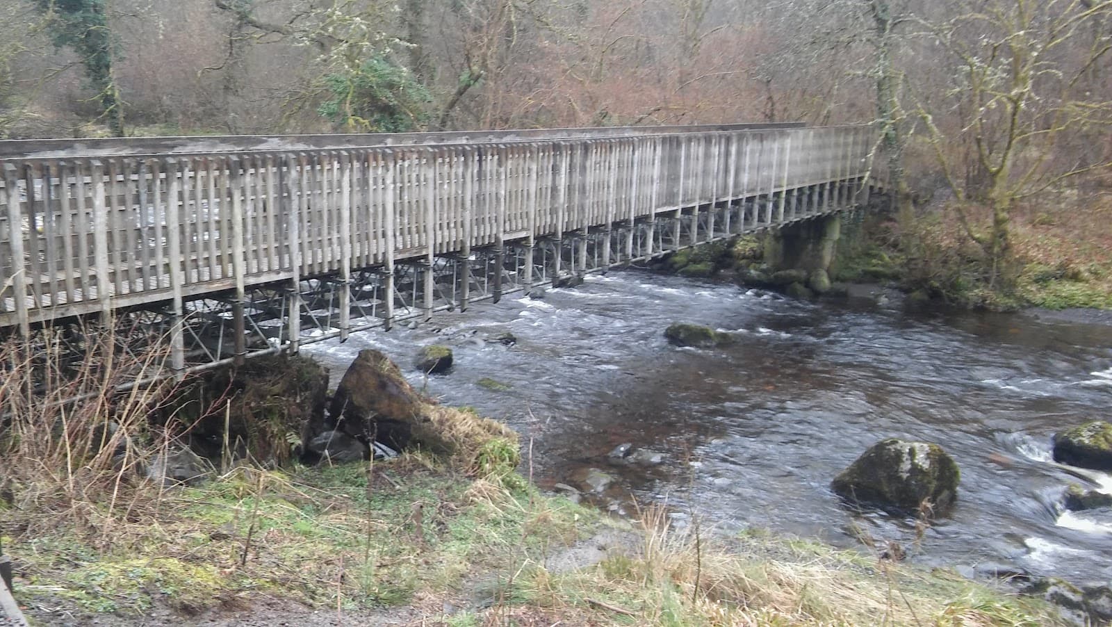 Cumbernauld Glen Wildlife Reserve - Image 1