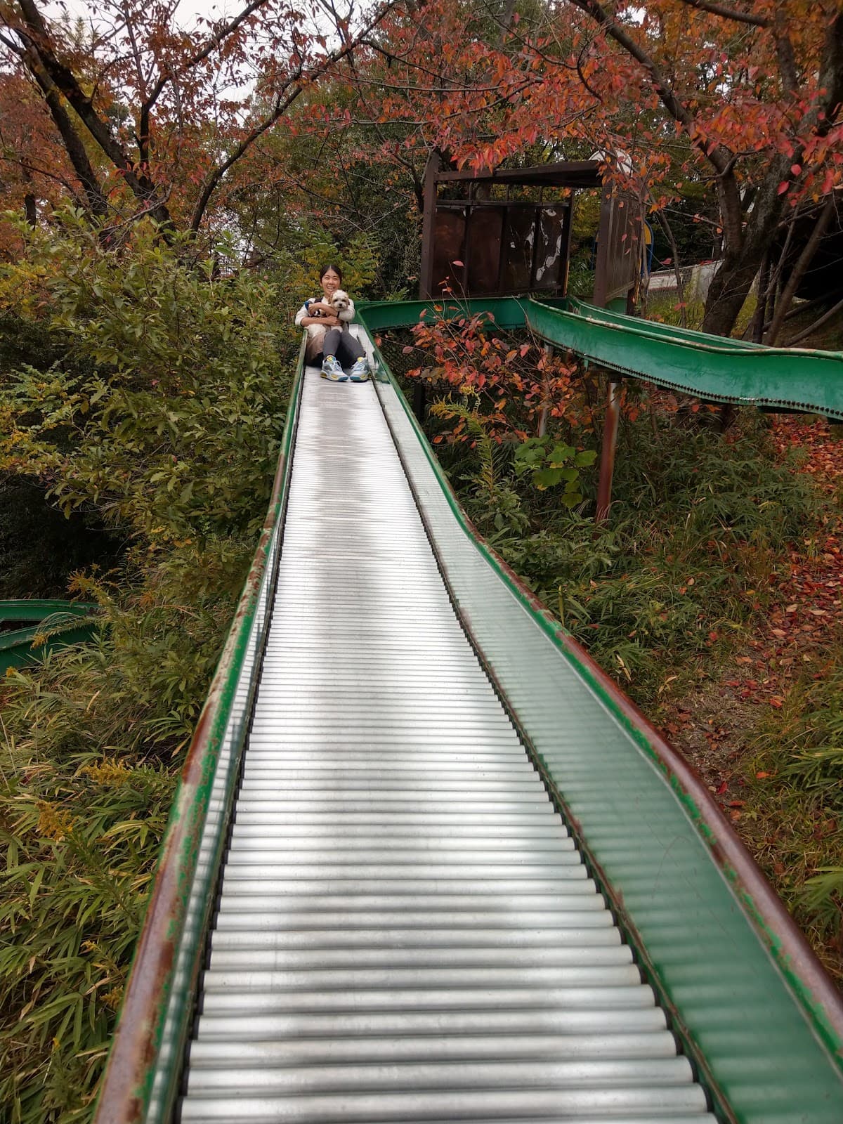 Senri Central Park - Image 1