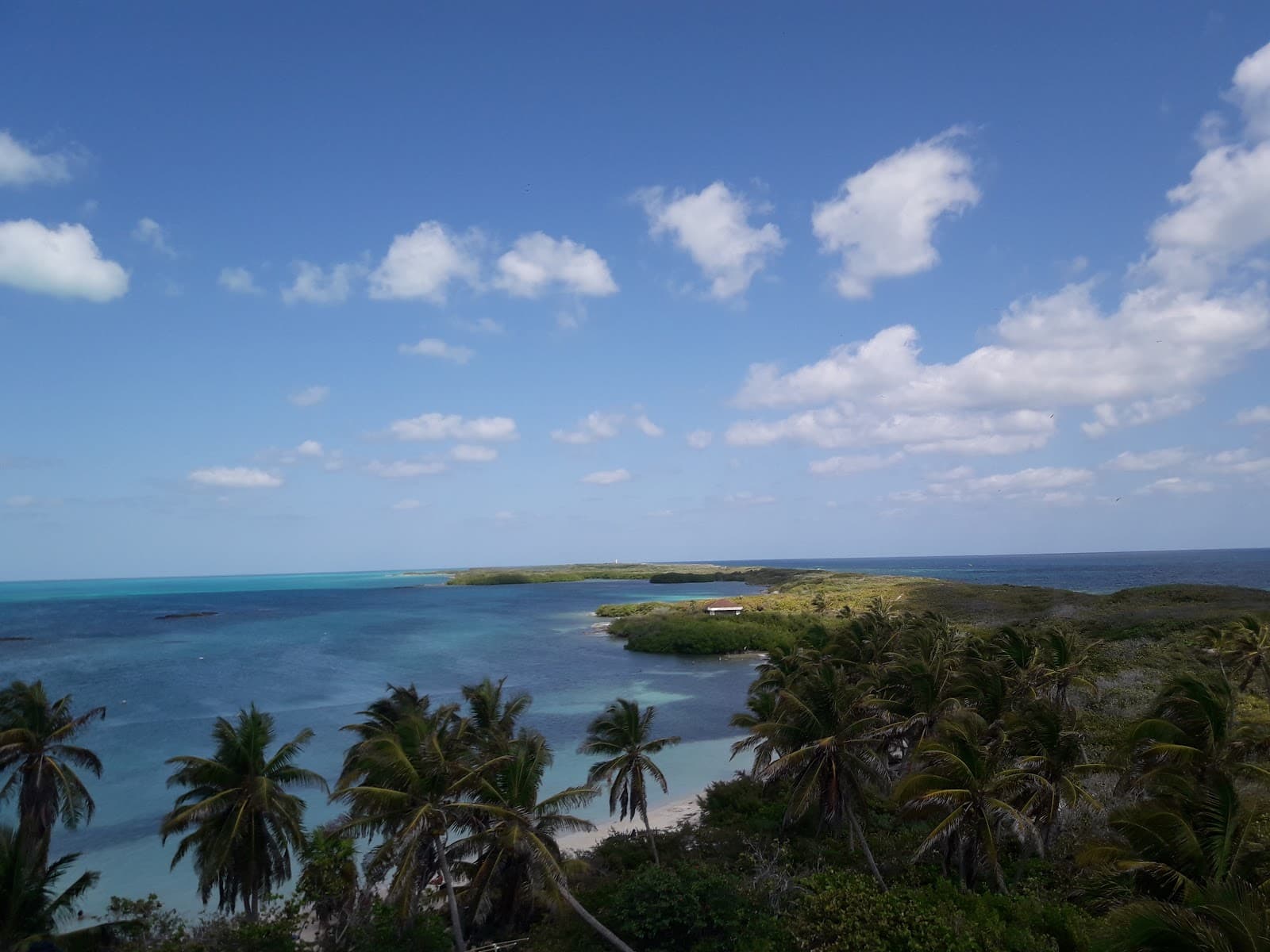 Isla Contoy - Image 1
