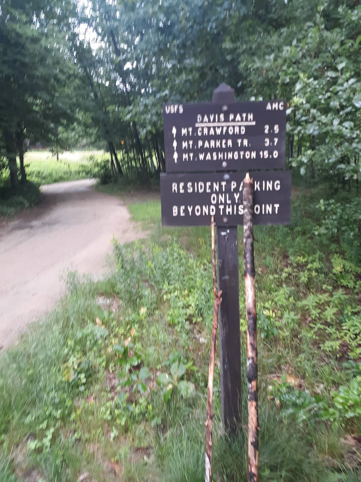 Wilderness Experience