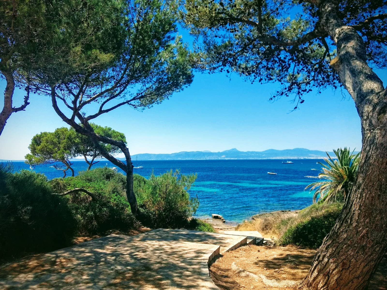 Tranquil Natural Reserve