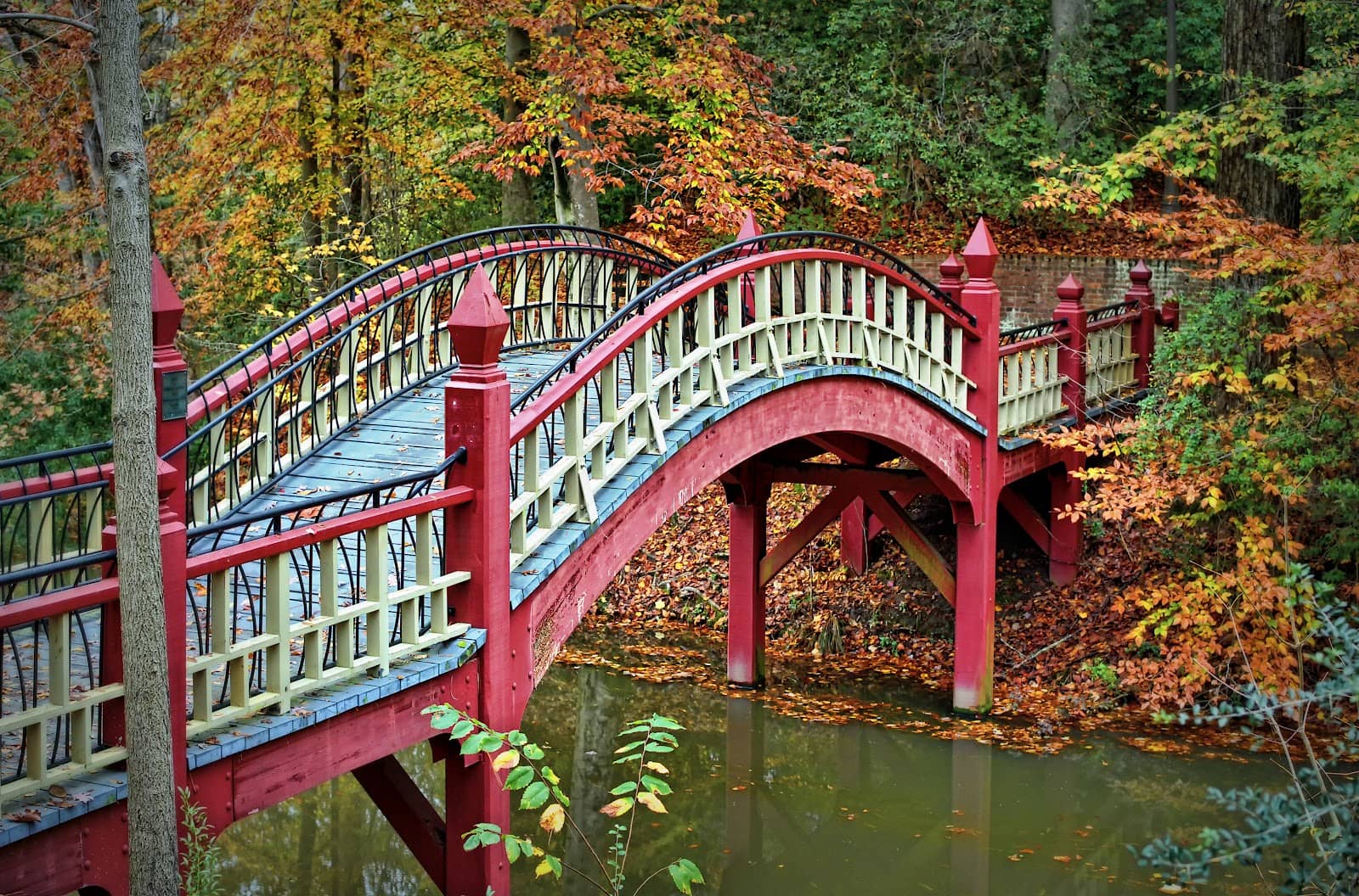 Serene Water Reflections