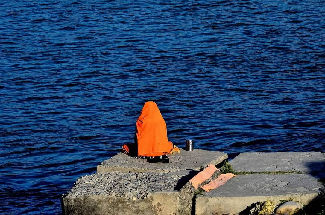 Birdwatching Paradise