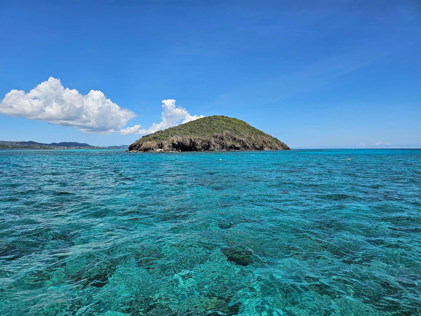 Abundant Marine Life