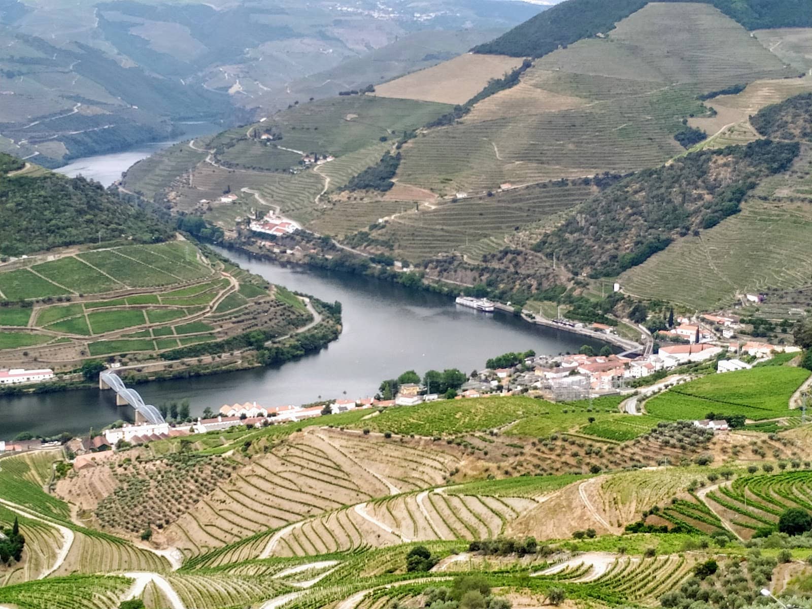 Food Truck Experience