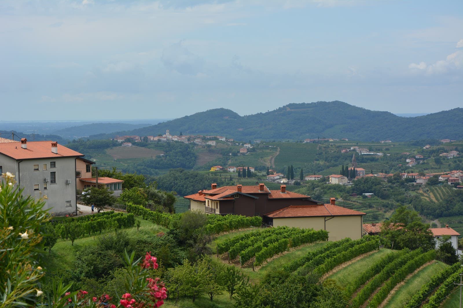 Šmartno v Brdih - Image 1