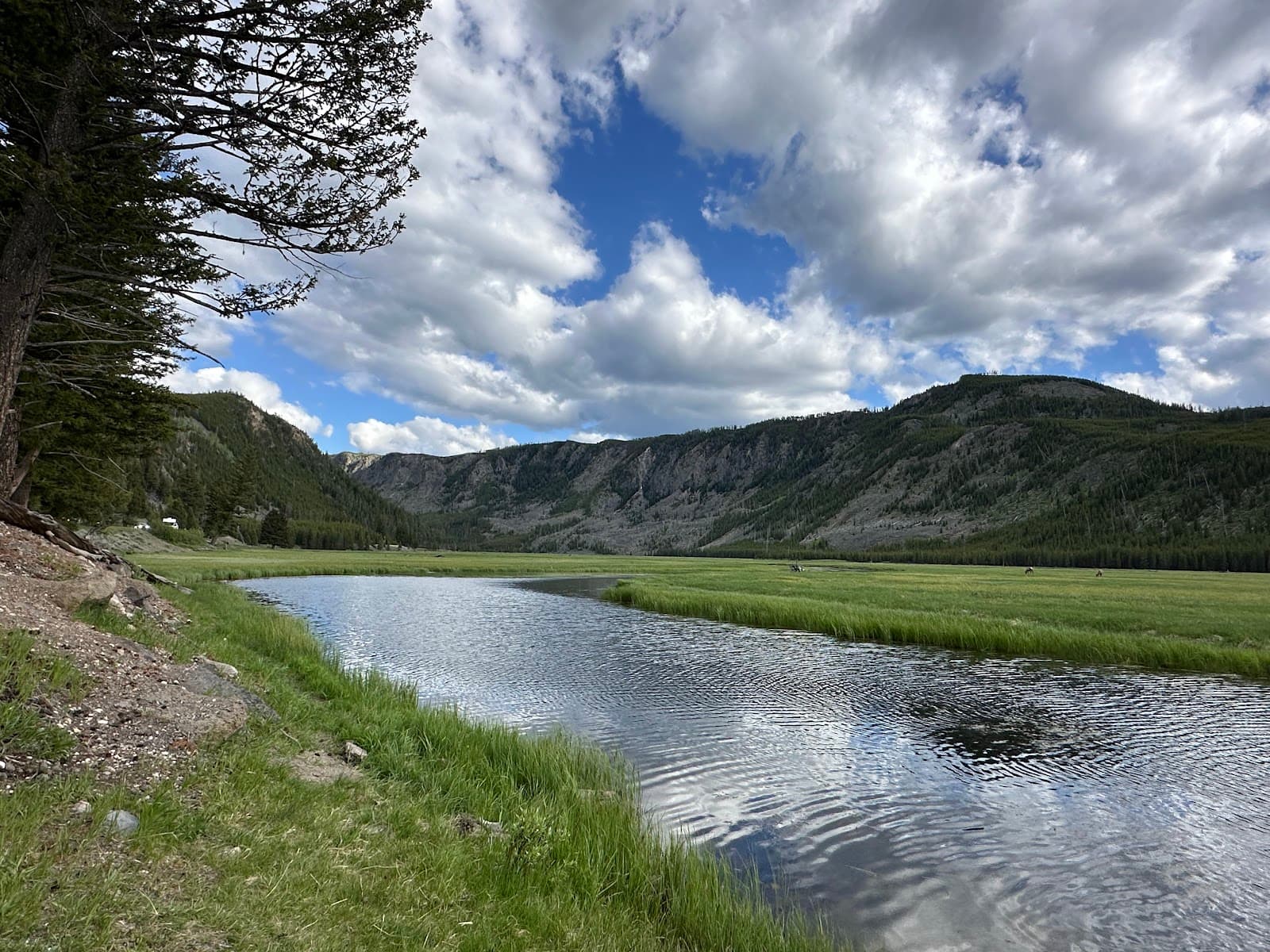 Madison River Valley Yellowstone National Park - Image 1
