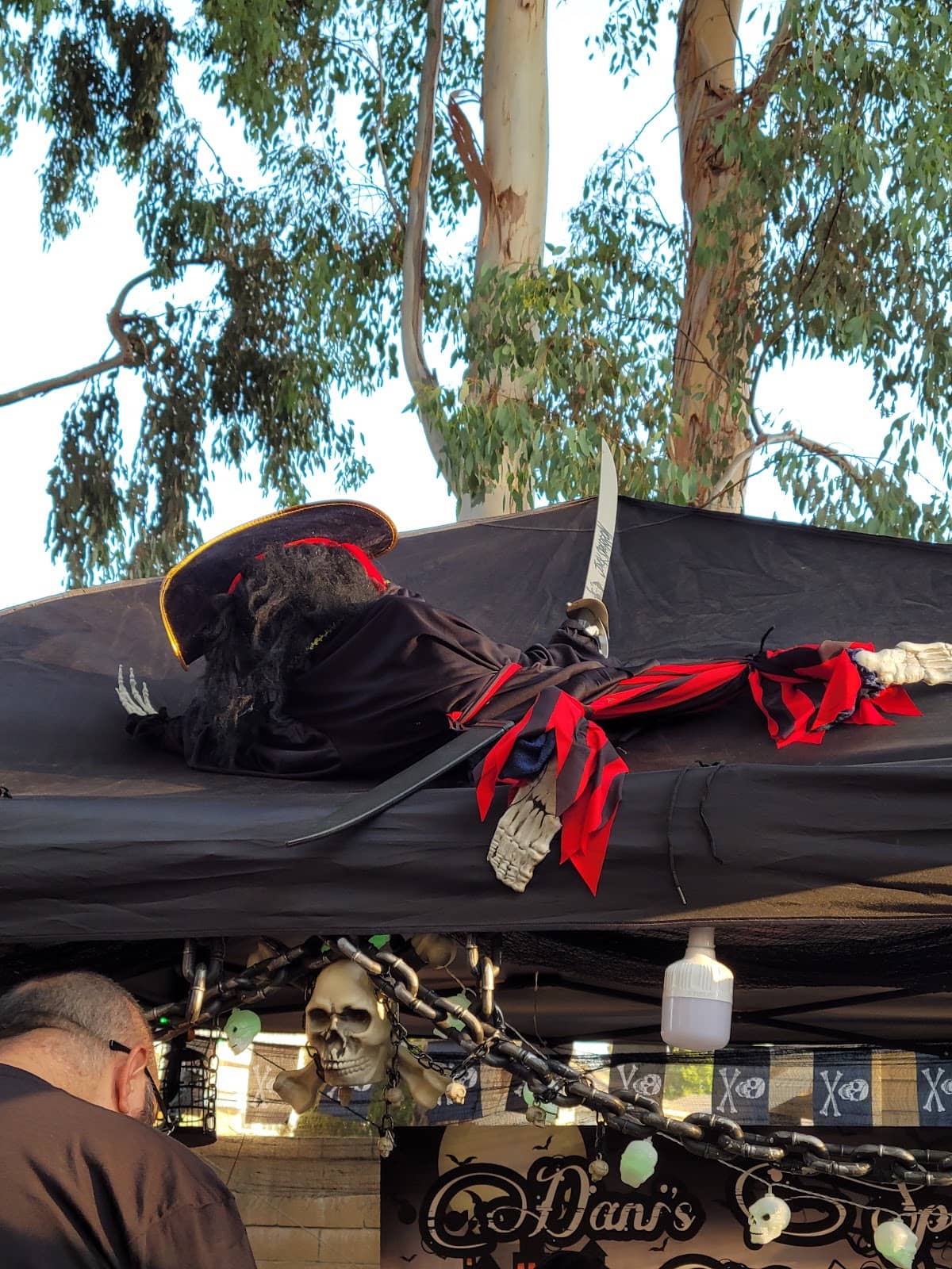 Local History Exhibits