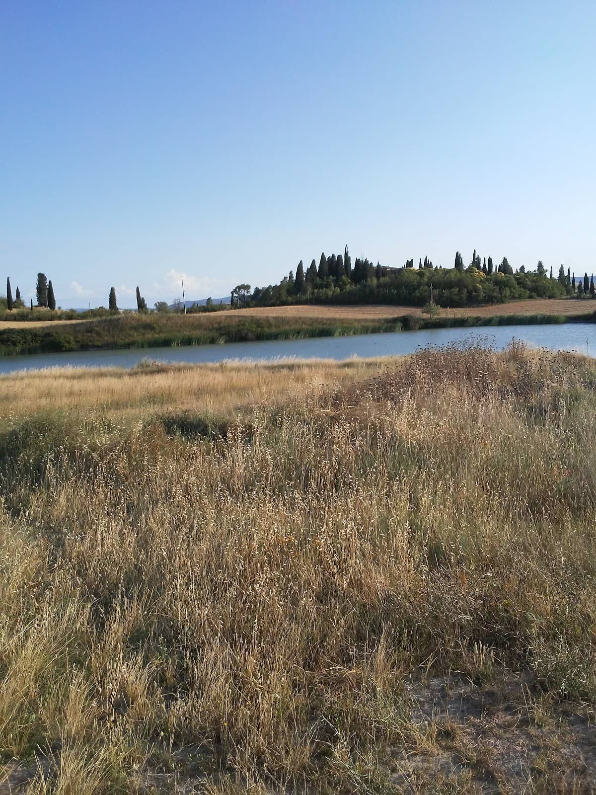 Farinata degli Uberti's Legacy