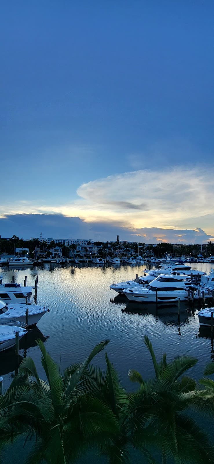 Delray Municipal Marina - Image 1