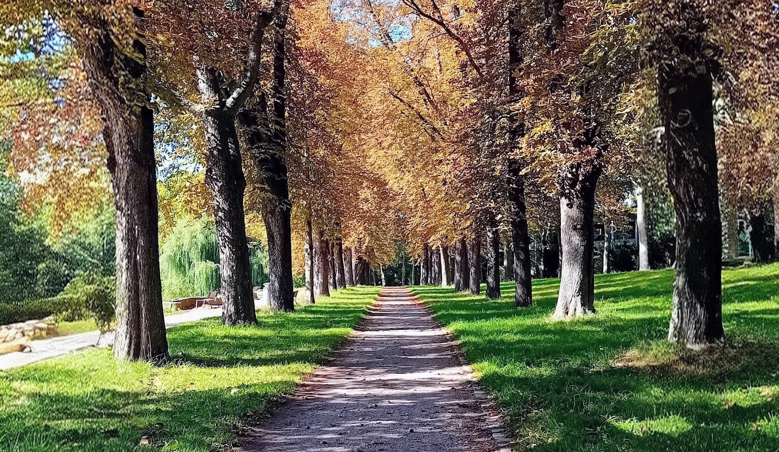 Schlossgarten City Park - Image 1