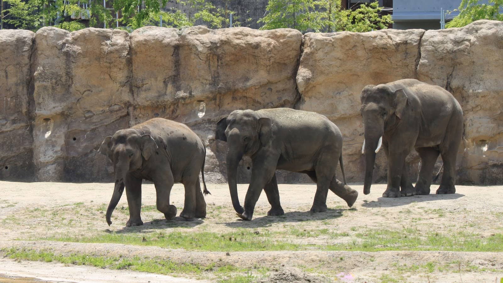 Botanical Gardens & Greenhouse