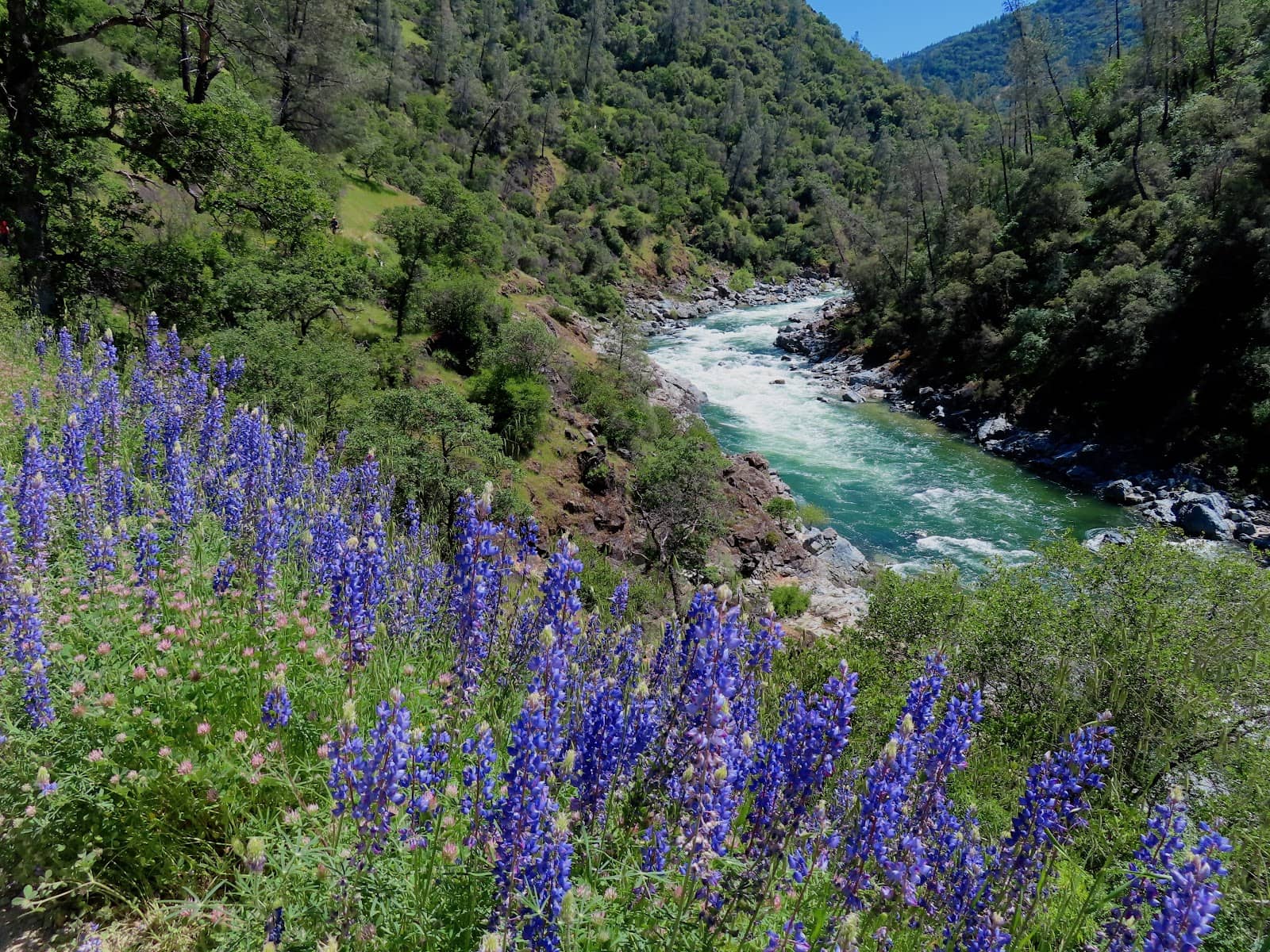 Gold Rush Era Bridge