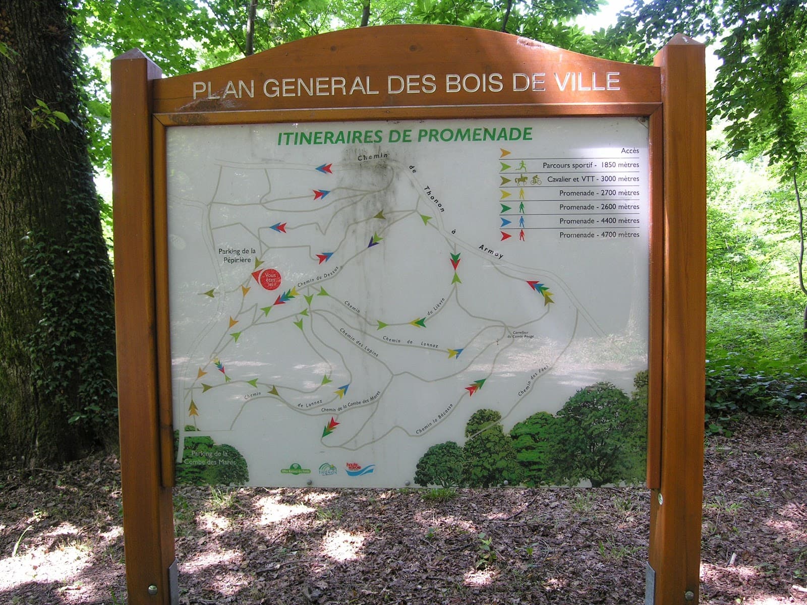 Forêt de Ripaille & Arboretum - Image 1