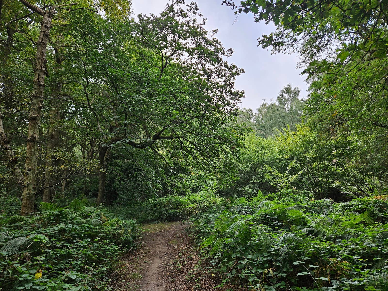 Peaceful Walking Circuits