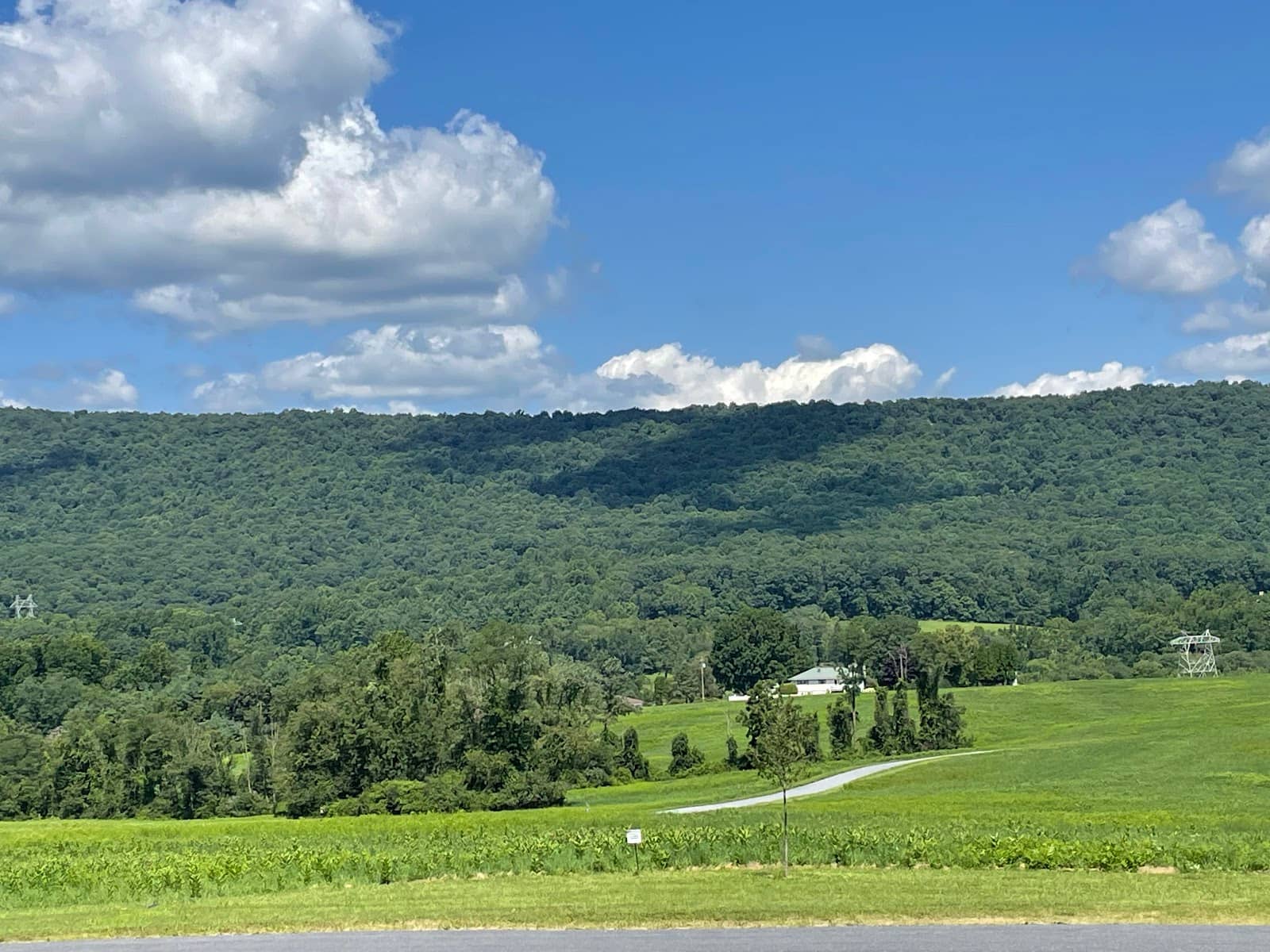 Interconnected Trail System