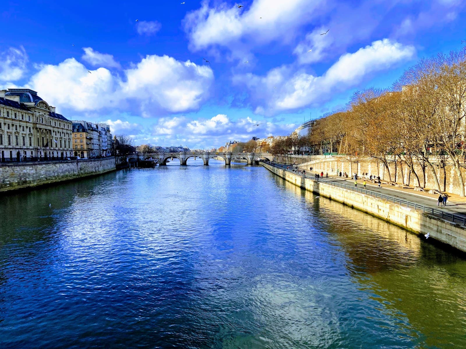 Seine Riverbanks - Image 1