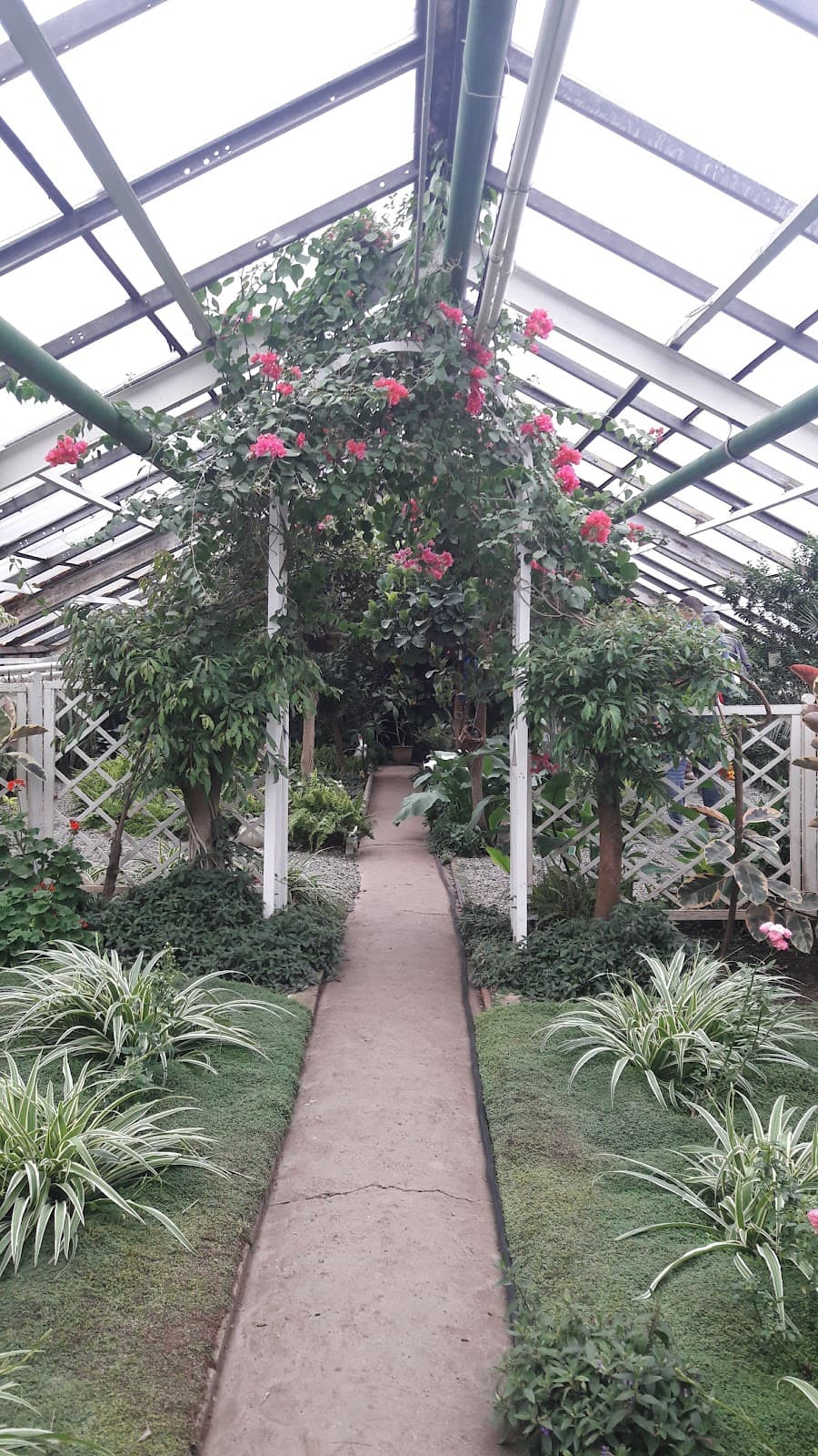 ZabGU Botanical Garden - Image 1