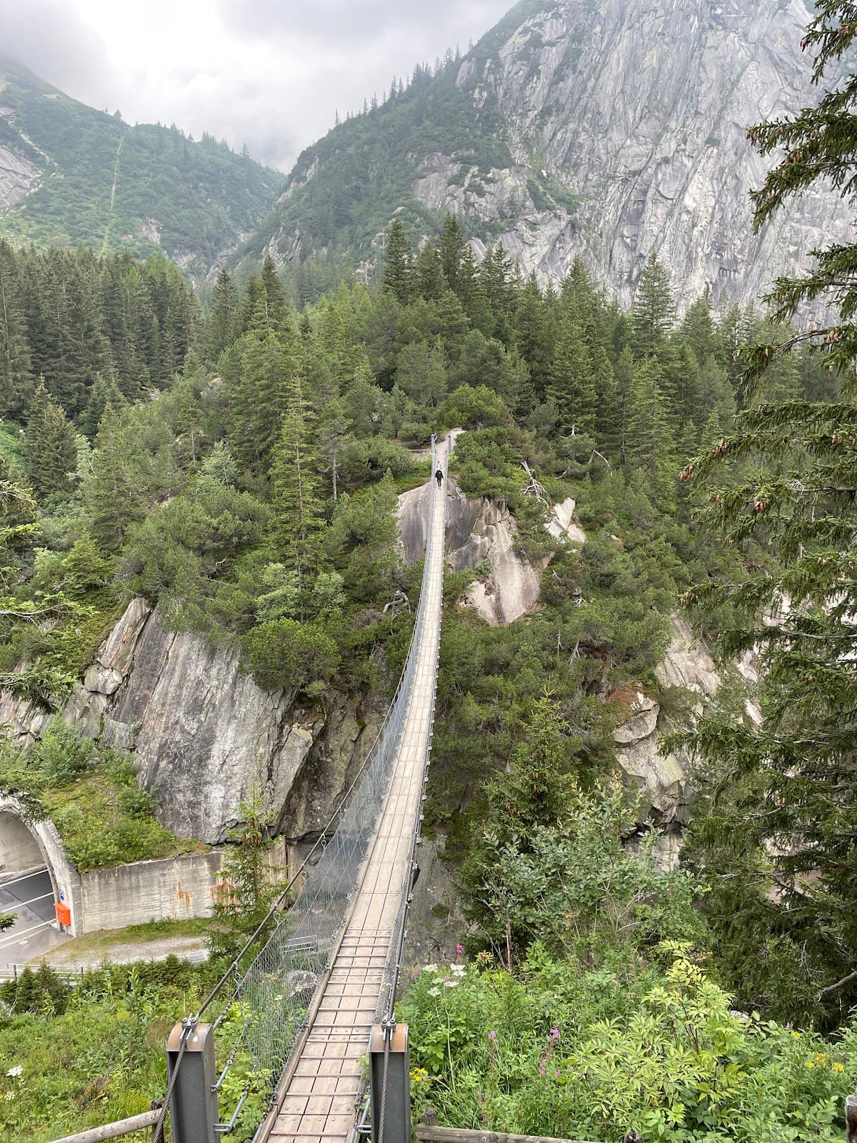 Gelmerbahn & Handeckfall Bridge - Image 1