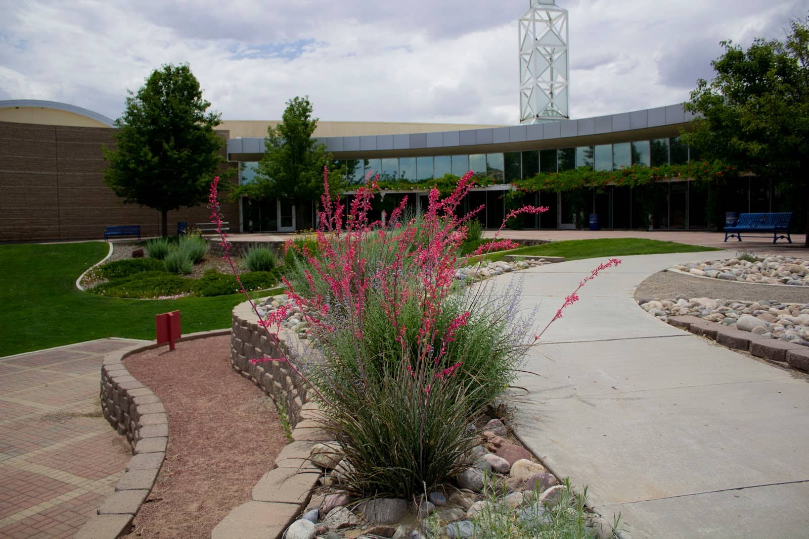 Regional Oil & Gas Industry