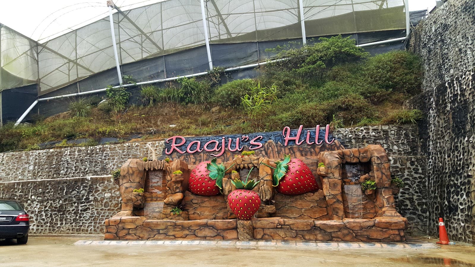 Raju Hill Strawberry Farm - Image 1