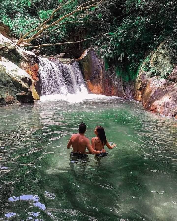 Coffee & Cacao Plantations