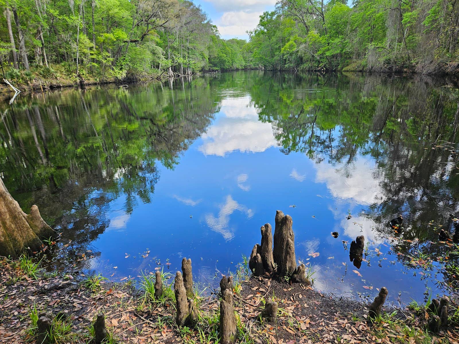 O'Leno State Park Connection