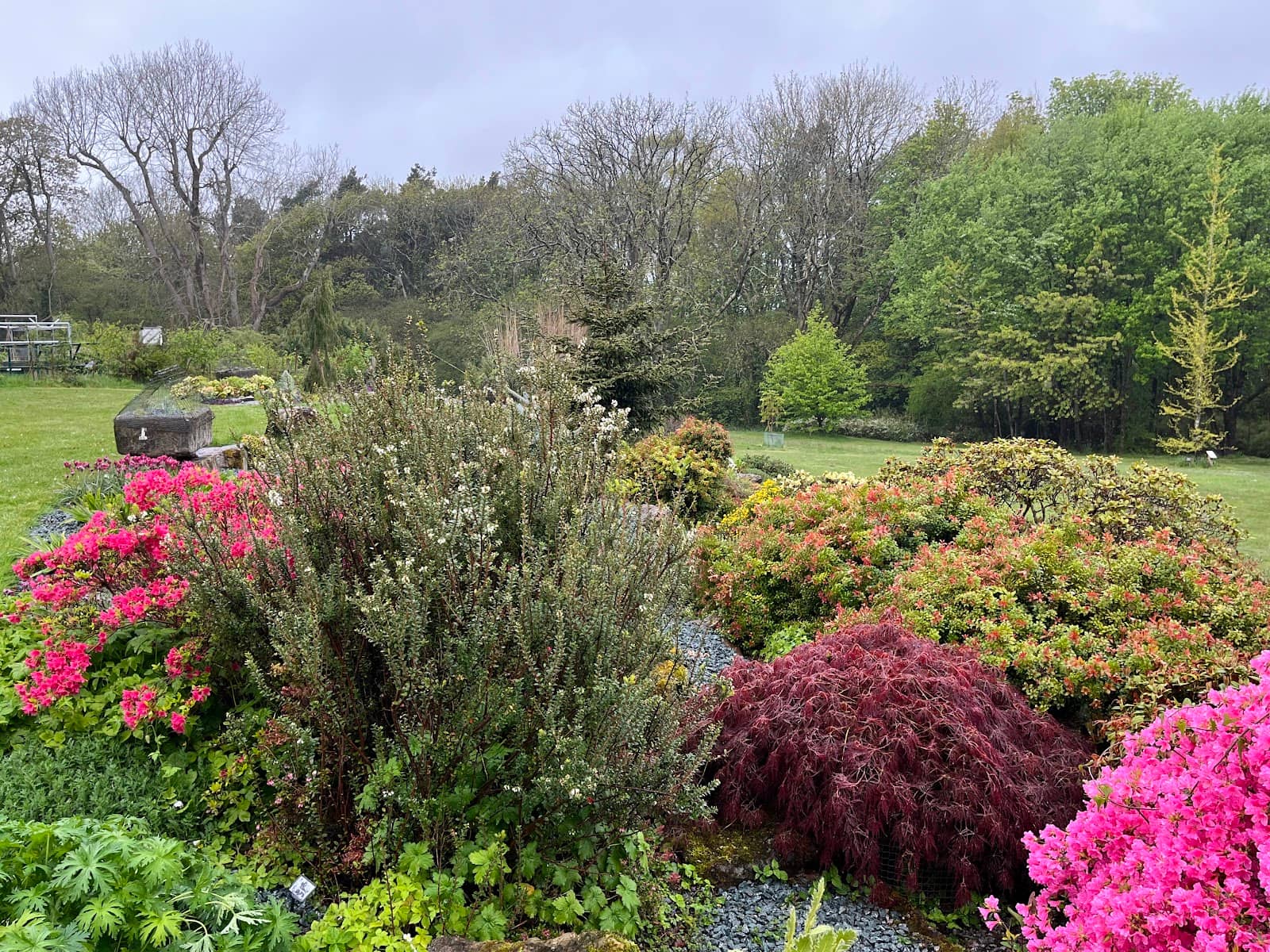 Woodland Paths & Coastal Views
