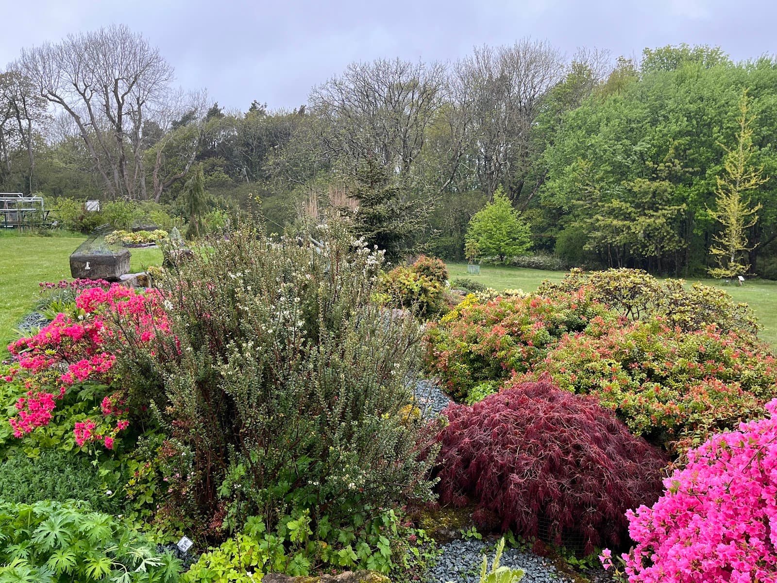 Treborth Botanic Garden - Image 1