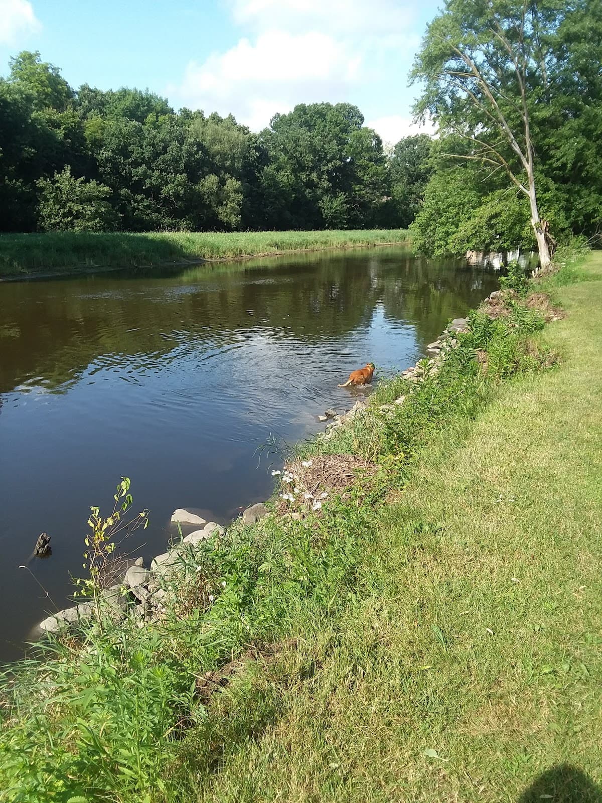 Fox River Park - Image 1