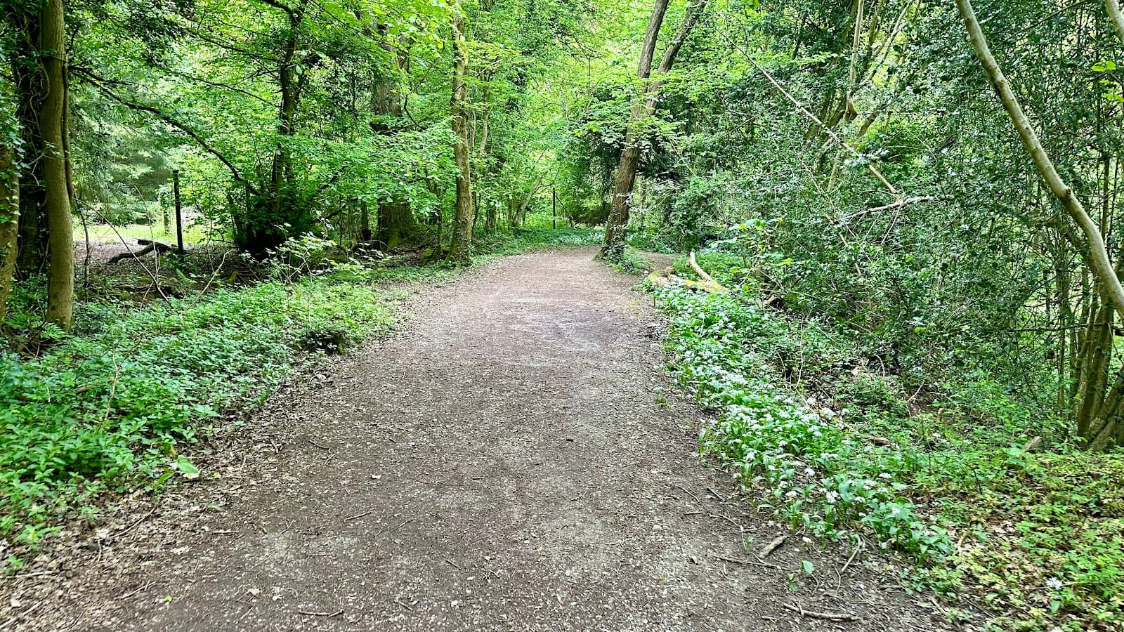 Nidd Gorge - Image 1