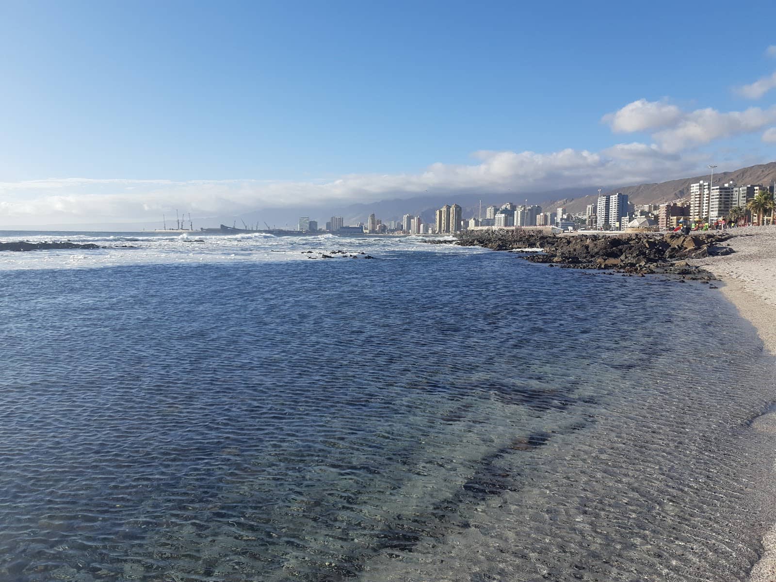 Local Mussel Gathering