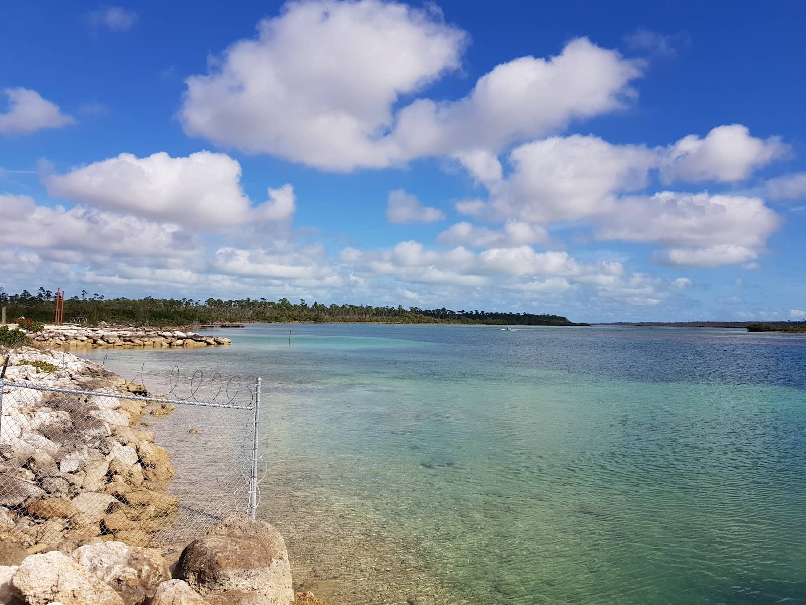Conch Cracking Festival