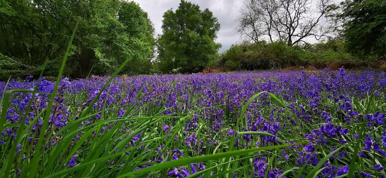 Keephatch Meadows LNR - Image 1